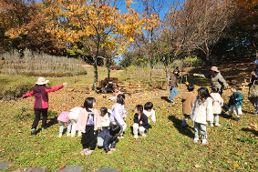 11월 숲체험 활동 실시