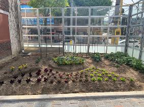 유치원 초록놀이터(텃밭) 환경