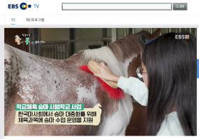 EBS 특집다큐_말이 통하다 '장평초 승마교육' 안내